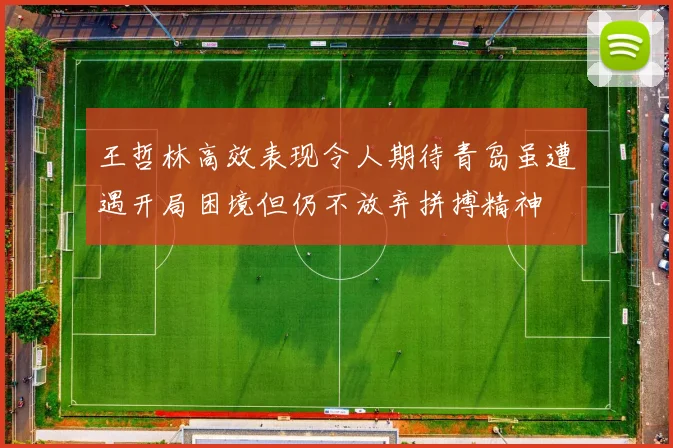 王哲林高效表现令人期待青岛虽遭遇开局困境但仍不放弃拼搏精神