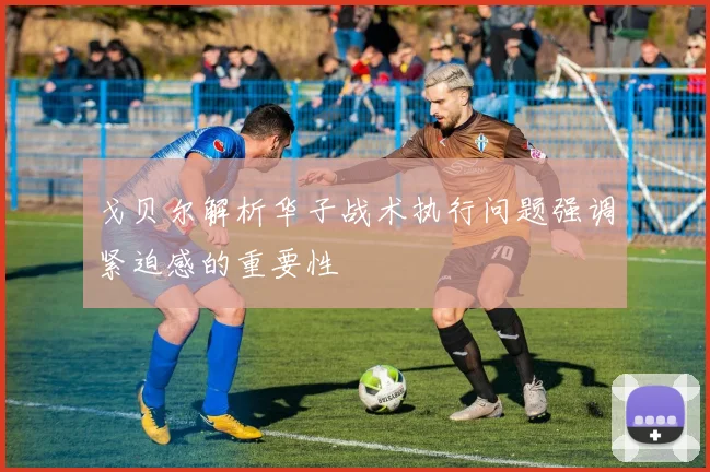 戈贝尔解析华子战术执行问题强调紧迫感的重要性